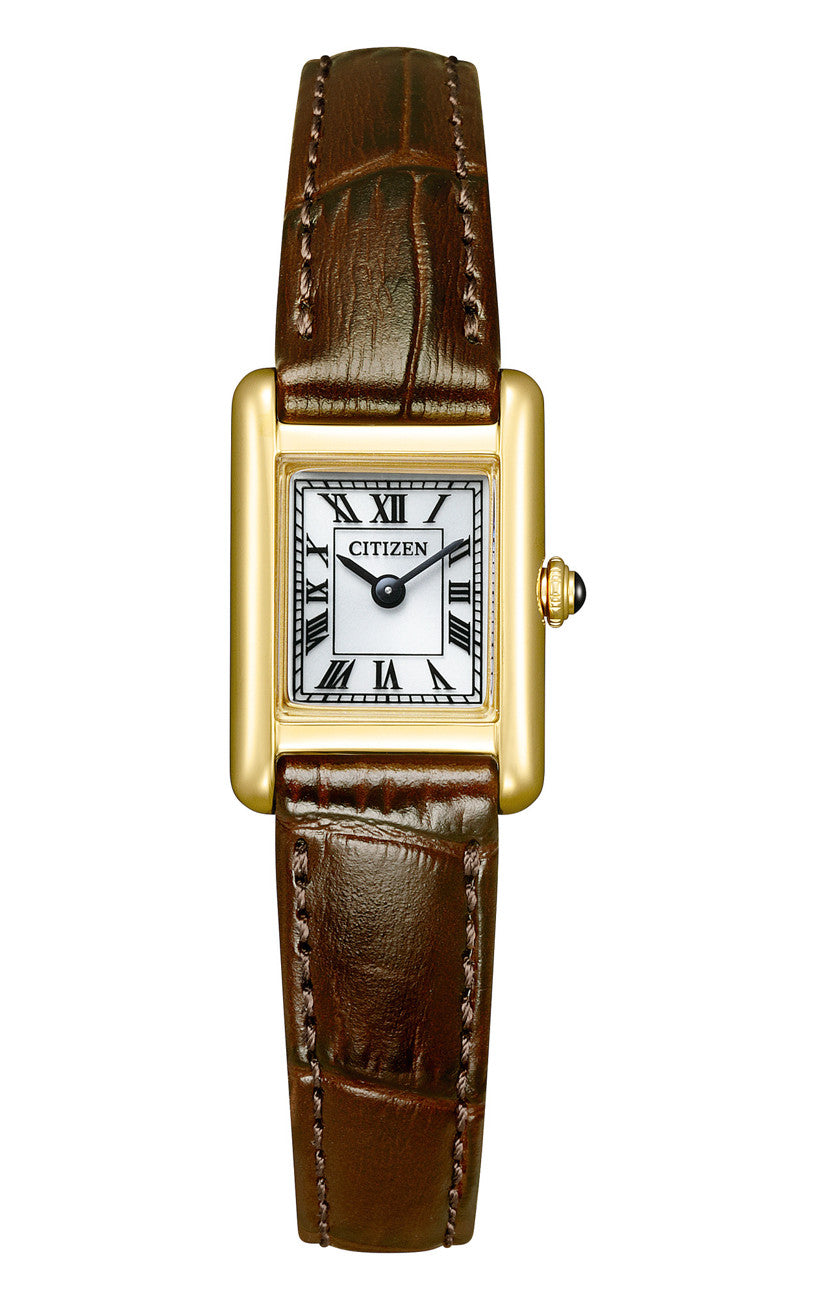 Reloj Citizen EG2797-13A