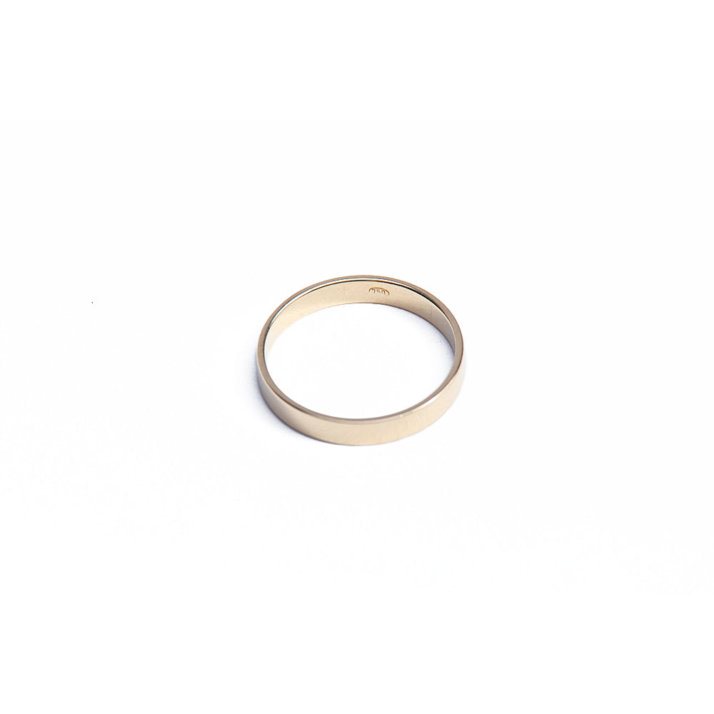 Par de Anillos Matrimonio 304